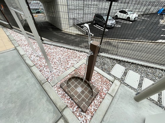 グレースシャイン