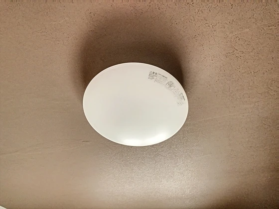 ラウファレ エイエスエイ