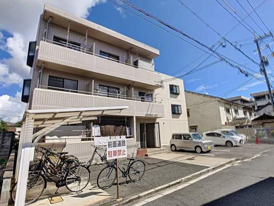 ラウファレ エイエスエイ