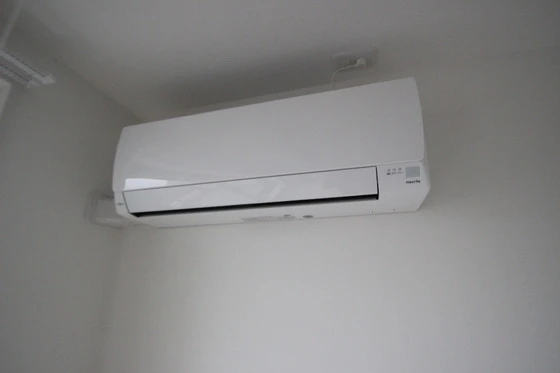 Regalest-Smart Salvia