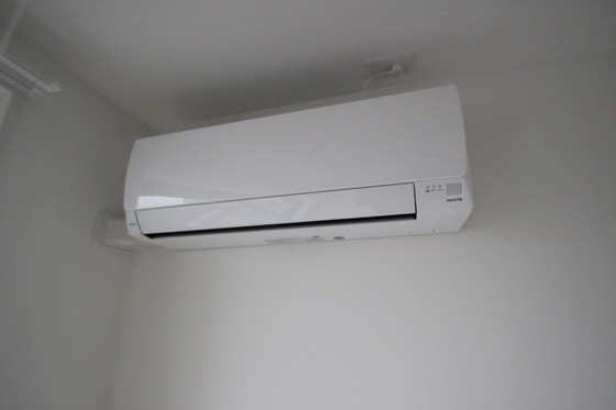 Regalest-Smart Salvia