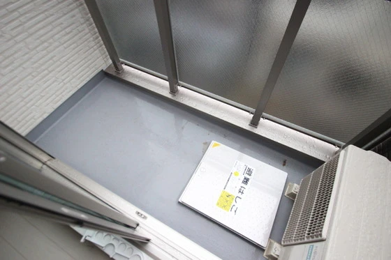 Regalest-Smart Salvia