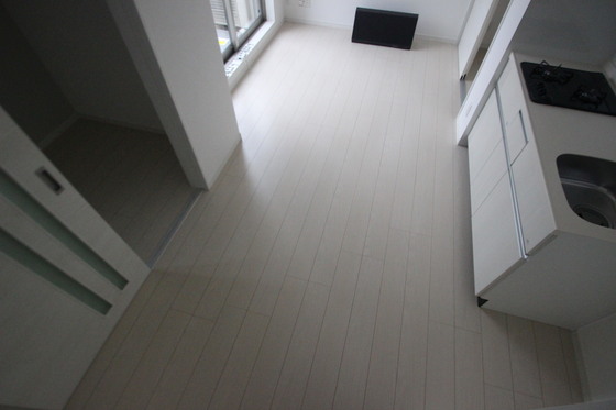 Regalest-Smart Salvia