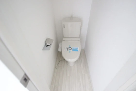 Regalest-Smart Salvia