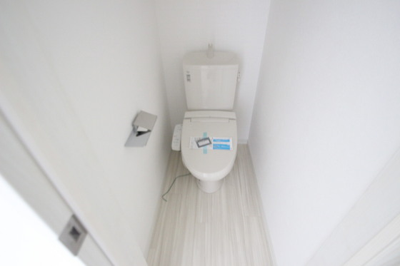 Regalest-Smart Salvia