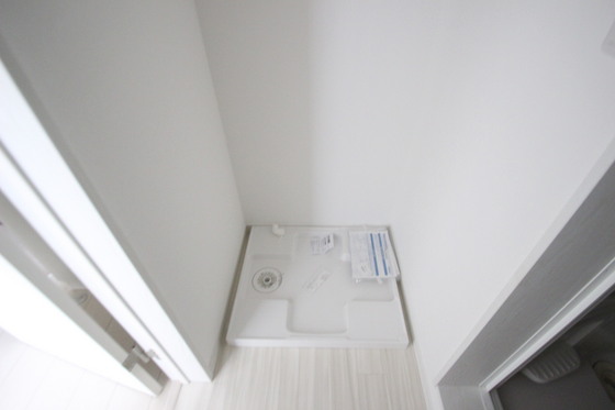 Regalest-Smart Salvia