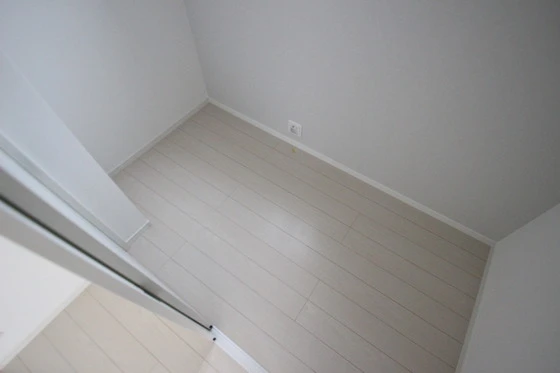 Regalest-Smart Salvia