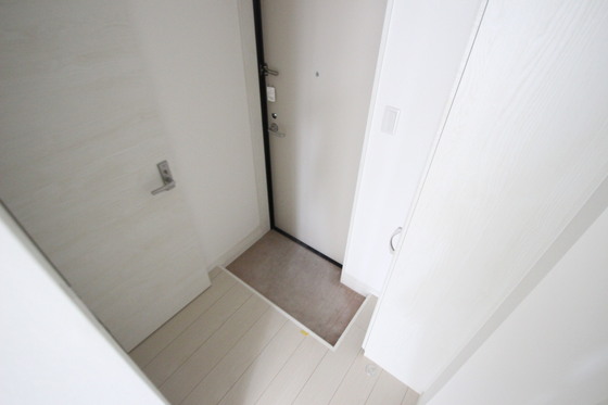 Regalest-Smart Salvia