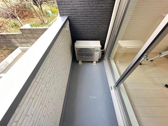 Regalest-Smart Salvia