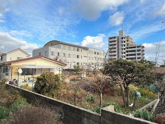 Regalest-Smart Salvia