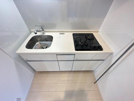 Regalest-Smart Salvia