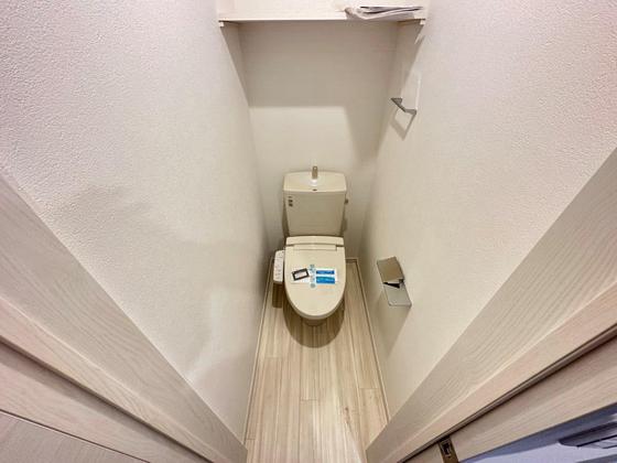 Regalest-Smart Salvia