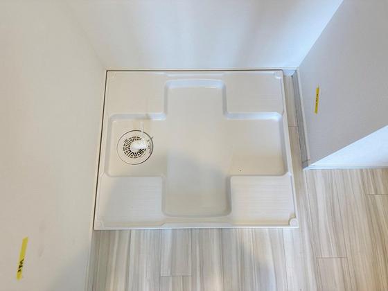 Regalest-Smart Salvia