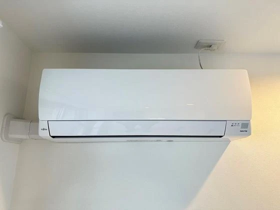 Regalest-Smart Salvia