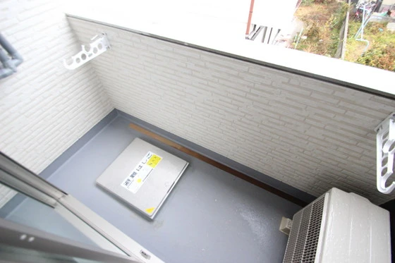 Regalest-Smart Salvia