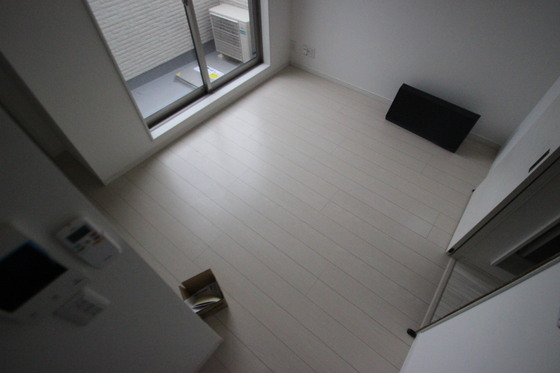 Regalest-Smart Salvia