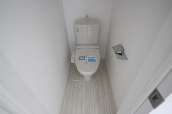 Regalest-Smart Salvia