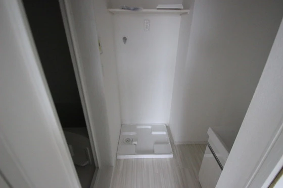 Regalest-Smart Salvia