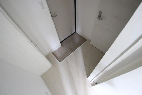 Regalest-Smart Salvia