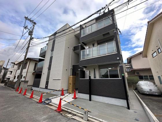 Regalest-Smart Salvia