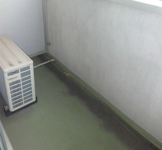 オーキッドバーン