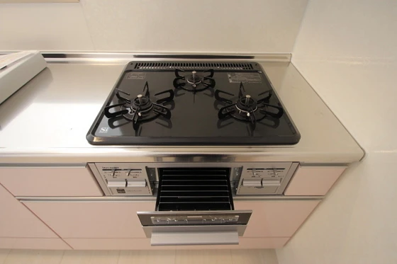 イル ヴィラージュ A棟