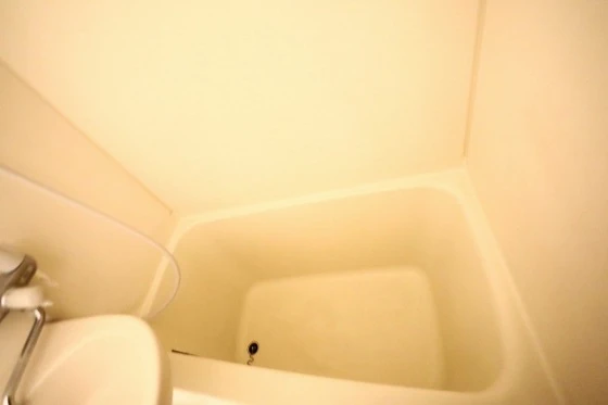 アルタイル東雲