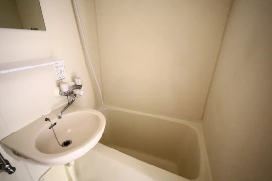 アルタイル東雲