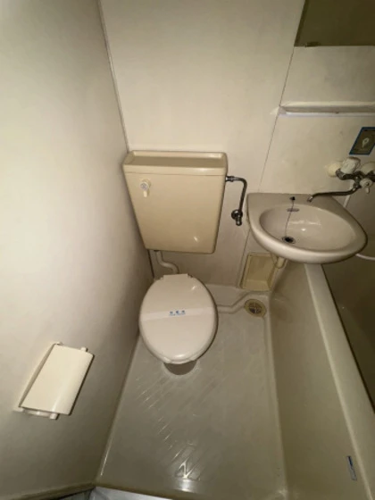 アルタイル東雲