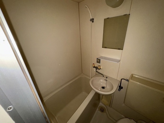 アルタイル東雲