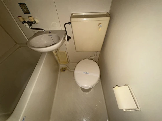 アルタイル東雲