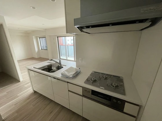 プレサンス ロジェ 昭和町 ザ・レジデンス