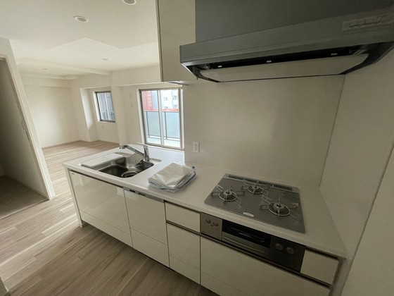 プレサンス ロジェ 昭和町 ザ・レジデンス