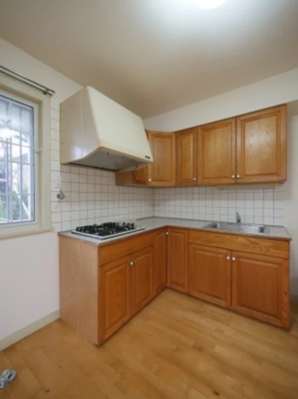 竹原アメリカンコンドミニアム