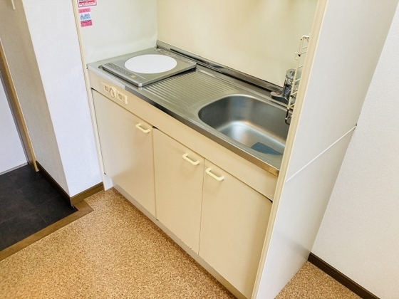 グリーンパキラ