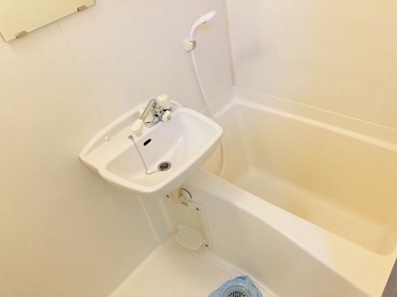 グリーンパキラ