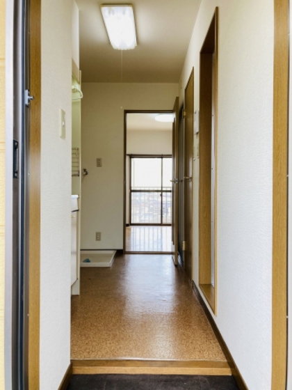 グリーンパキラ