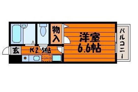 グリーンパキラ