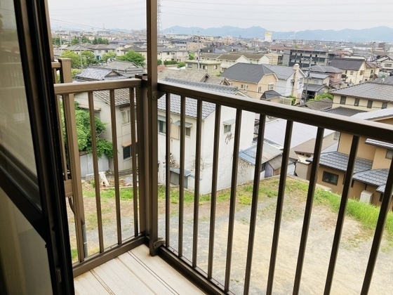 グリーンパキラ