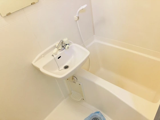 グリーンパキラ