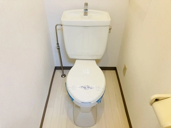 グリーンパキラ