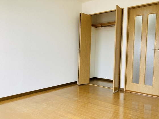 グリーンパキラ