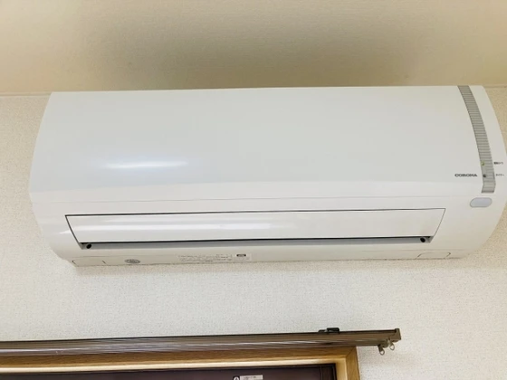 グリーンパキラ