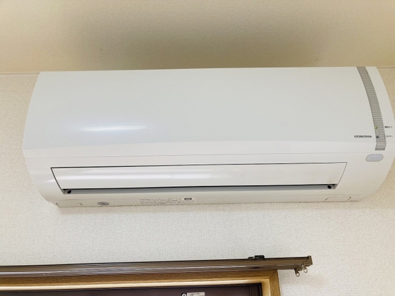 グリーンパキラ