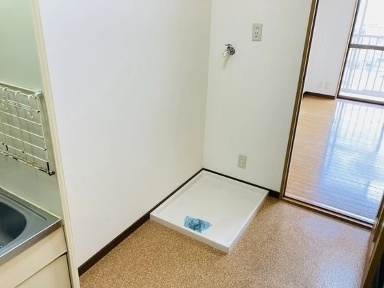 グリーンパキラ