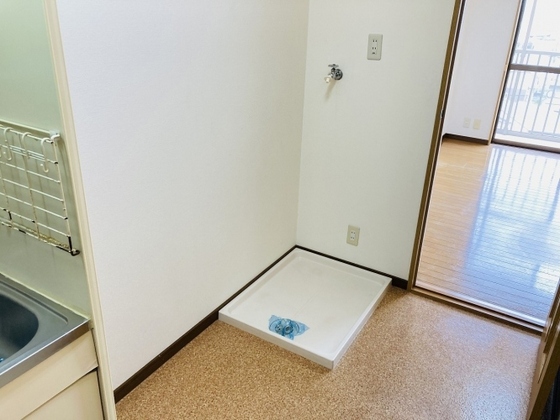 グリーンパキラ