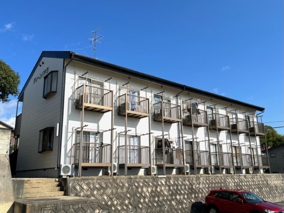 グリーンパキラ