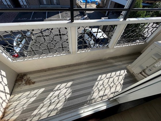 ファミーユ・ビボC