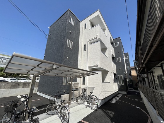 REGALEST 江波山桜