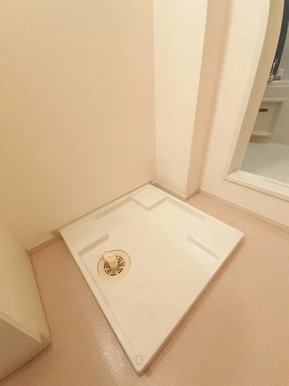 プラシードM・N